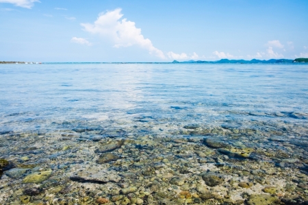 바다를 즐기는 또 하나의 방법